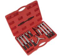 Sealey Bearing & Gear Puller Set 12Pc Ps900