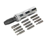 Sealey 15 Pieces Impact Driver Set With Chrome Vanadium Steel Bits Silver S0844