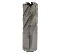 Sealey RBHSS19S Rotabor Cutter Hss Ø19Mm - Cut Depth 25Mm