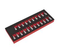 Sealey AK6243 Trx-Star*/Hex/Spline Socket Bit Set 22Pc 3/8inSq Drive