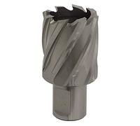 Rotabor Cutter HSS Ø33mm - Cut Depth 25mm