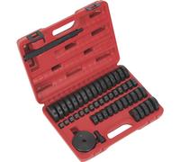 Sealey 52 Piece Bearing Race and Seal Driver Set