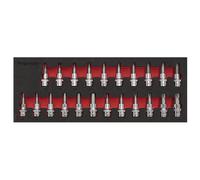 Sealey AK6243 Trx-Star*/Hex/Spline Socket Bit Set 22Pc 3/8inSq Drive