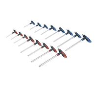 Sealey 16 Piece T Handle Torx and Hexagon Allen Key Set