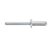 Sealey Blind Aluminium Rivets 6.4mm 18mm Pack of 200