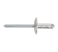 Sealey Rivet Aluminium Multi-Grip Large Flange Ø4.8 x 19mm Pack of 200