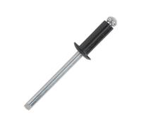 Sealey Aluminium Rivet RAB4814S Black Standard Flange 4.8 x 14mm Pack of 200