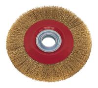 Sealey Bg200/Ww1 Wire Wheel