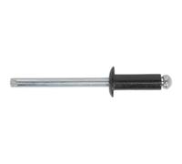 Sealey Black Aluminium Rivets 4mm 10mm Pack of 200