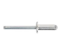Sealey Blind Aluminium Rivets 6.4mm 18mm Pack of 200