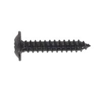 Sealey BST3519 Self-Tapping Pozi Flanged Head Screw 3.5 x 19mm, Black - Pack