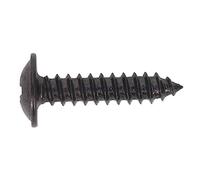Sealey BST4219 Self-Tapping Screw 4.2 X 19Mm Flanged Head Black Pozi Pack Of 100