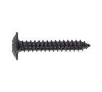 Sealey BST4225 Self-Tapping Pozi Flanged Head Screw 4.2 x 25mm, Black - Pack