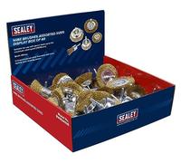 Sealey BWBS40DB Wire Brushes Assorted Sizes Display Box Of 40