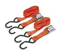 Sealey Cam Buckle Strap TD05025CS 25mm x 2.5m Polyester Webbing with S-Hooks 500kg