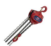 Sealey CB1000 2.5m Chain Block 1 Tonne