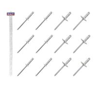 Sealey RVSET Clip Strip Deal - Aluminium Rivets