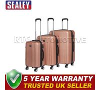 Sealey Dellonda Lightweight ABS Luggage Set with TSA Lock Rose Gold DL125