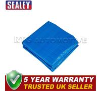 Sealey Dellonda Swimming Pool Ground Sheet for DL19 DL45