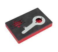 Sealey Diesel Engine Timing Tool Kit Ford 2.0TDCi EcoBlue Belt Drive VS5285 Red