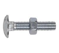 Sealey DIN 603 Coach Bolts and Nuts Zinc Plated M8 40mm Pack of 50