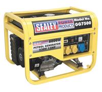 Sealey Generator 6000W 110/230V 13Hp Gg7500