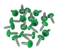 Sealey Numberplate Screws PTNPG – Green 4.8 x 18 mm – Pack of 50