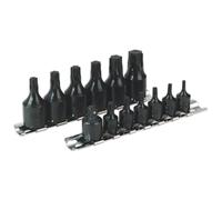 Sealey 1/4" & 3/8" Drive T10-T60 Trx-Star Impact One Piece Socket Bit Set AK5584