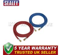 Sealey Oxyacetylene Welding Hose Set 10m WH10