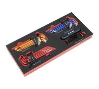 Premier Master Key Set with Tool Tray 43 Piece