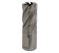 Sealey RBHSS19S Worksafe® 19mm HSS Mag Drill Bit Cut Depth 25mm