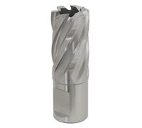 Sealey RBHSS20S Worksafe® 20mm HSS Mag Drill Bit Cut Depth 25mm