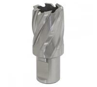 Sealey RBHSS26S Rotabor Cutter Hss Ø26Mm - Cut Depth 25Mm
