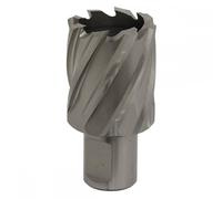 Rotabor Cutter HSS Ø33mm - Cut Depth 25mm