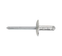 Sealey RM4819L Aluminium Multi-Grip Large Flange Rivet 4.8 x 19mm - Pack of 200