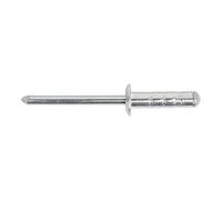 Sealey RM4819S Aluminium Multi-Grip Rivet Standard Flange Ø4.8 X 19Mm Pack Of 200