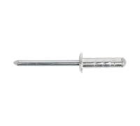 Sealey RM4819S Aluminium Multi-Grip Standard Flange Rivet 4.8 x 19mm - Pack of 2