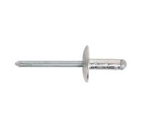 Sealey RM4827L Aluminium Multi-Grip Rivet Large Flange 4.8 x 27mm Pack of 100