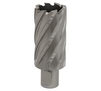 Sealey RBHSS33L Rotabor Cutter Hss Ø33Mm - Cut Depth 50Mm