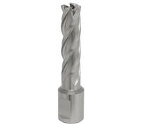 Sealey Rotabor Cutter Hss M2 Steel 14mm Cut Depth 50mm Magnetic Drill Rbhss14L