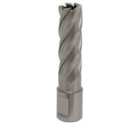 Sealey Rotabor Weldon Shank HSS Mag Drill Cutter 17mm 50mm