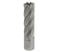 Sealey Rotabor Cutter Hss M2 Steel 19mm Cut Depth 50mm Magnetic Drill Rbhss19L
