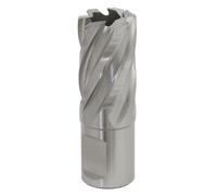 Sealey Rotabor Weldon Shank HSS Mag Drill Cutter RBHSS20S Ø20mm Cut Depth 25mm