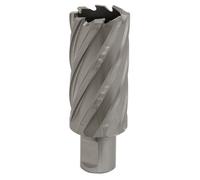 Sealey Rotabor Cutter Hss M2 Steel 31mm Cut Depth 50mm Magnetic Drill Rbhss31L