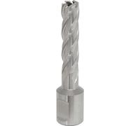 Rotabor Cutter HSS Ø12mm - Cut Depth 50mm
