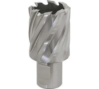 Rotabor Cutter HSS Ø29mm - Cut Depth 25mm