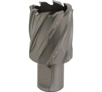 Rotabor Cutter HSS Ø33mm - Cut Depth 25mm