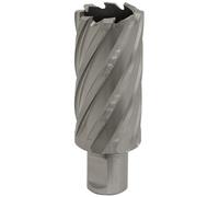 Sealey RBHSS31L Rotabor Cutter Hss Ø31Mm - Cut Depth 50Mm