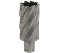 Sealey Rotabor Weldon Shank HSS Mag Drill Cutter