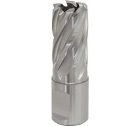 Sealey Rotabor Weldon Shank HSS Mag Drill Cutter 17mm 25mm